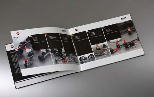 畫冊版式設計欣賞 圖文之間的藝術制作